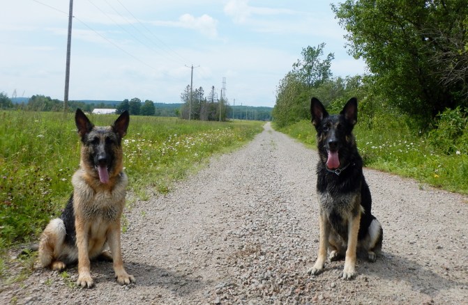 DSCN1305 - Copie.JPG