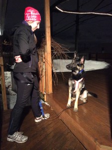 Lizbeth qui attend notre départ en canicross.