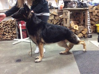 Lizbeth en pratique (hiver 2015).