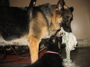 Kelly qui joue avec Lizbeth bébé.