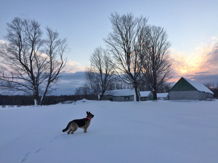 0010 - 18-12-16 - Copie.JPG