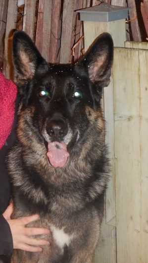 DSCN4613 - Copie.JPG